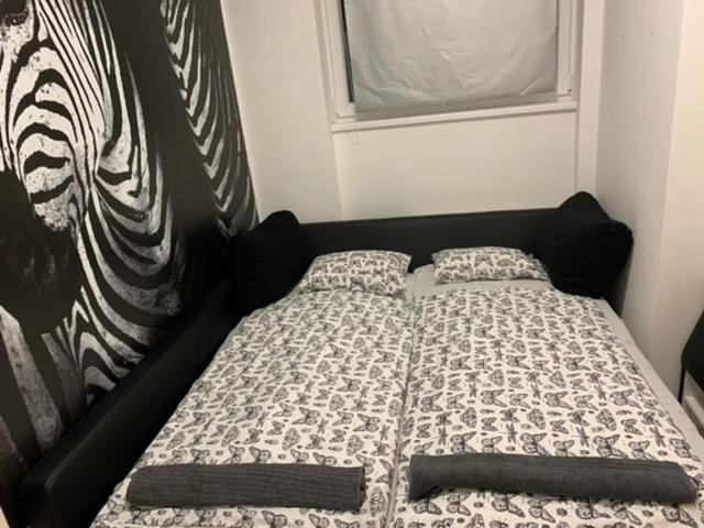 Castle Hill Safari Apartment